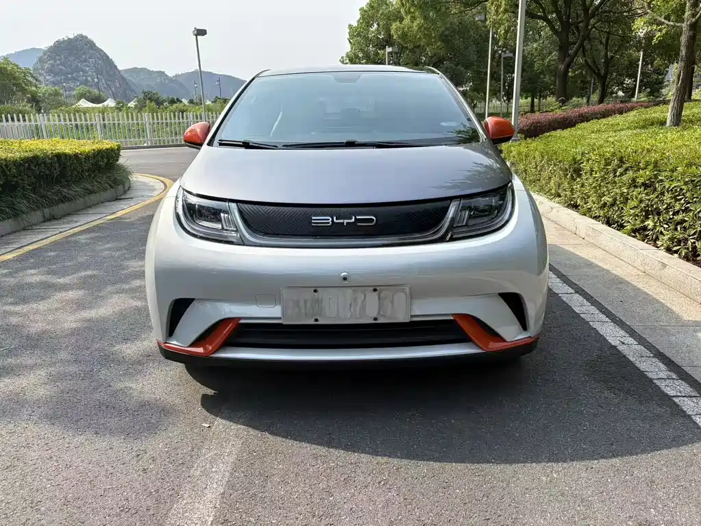BYD Dolphin 2021 405km Freedom