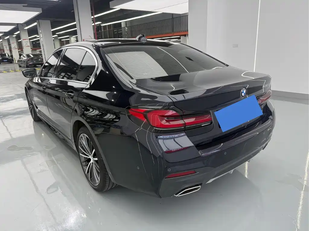 BMW 5 Series — миниатюра 15