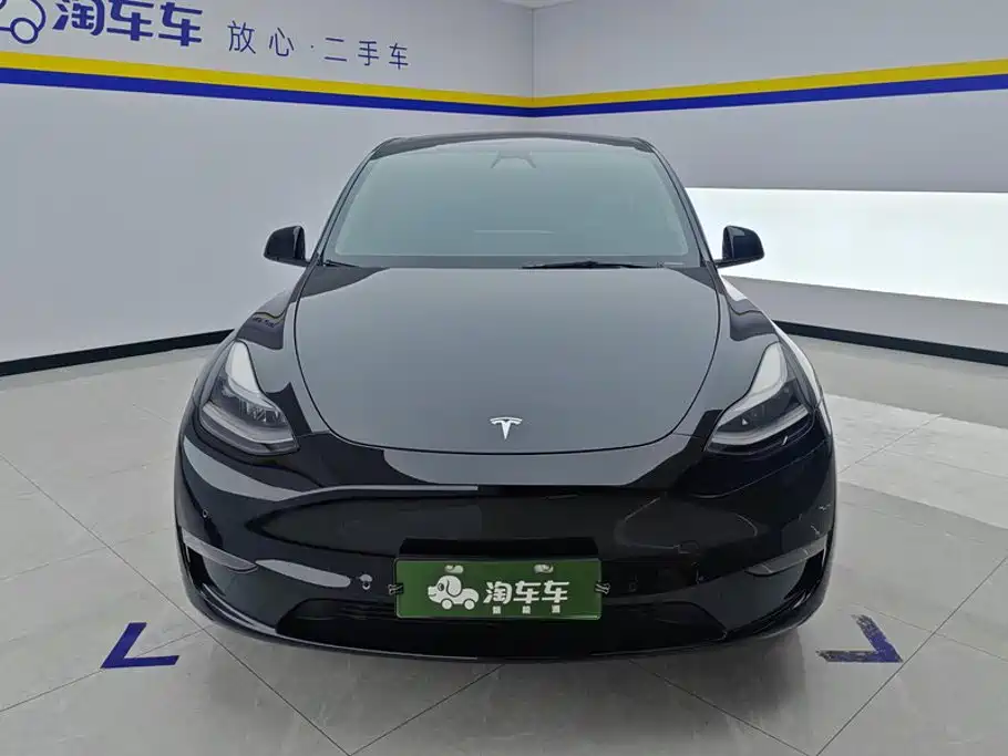 Tesla Model Y — миниатюра 2