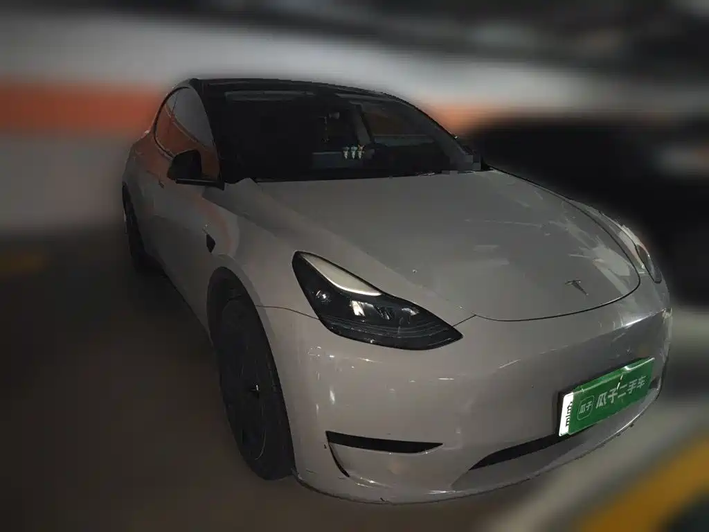 Tesla Model Y — миниатюра 24
