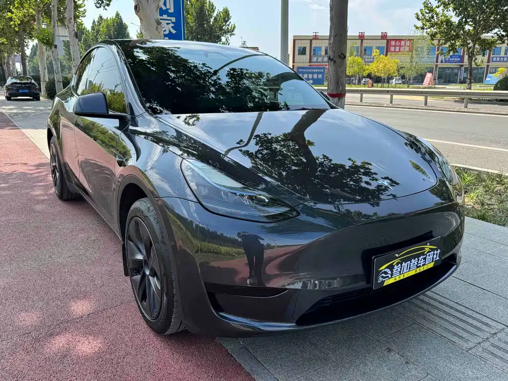 Tesla Model Y — миниатюра 3