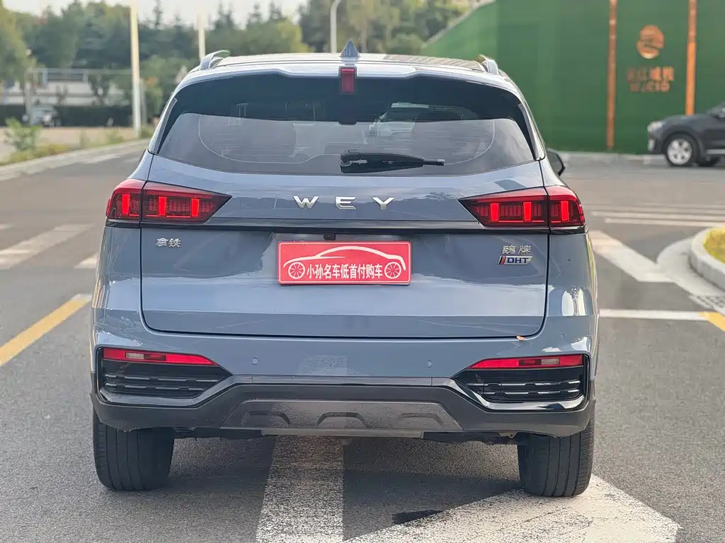 Wey Wey Latte DHT — миниатюра 12