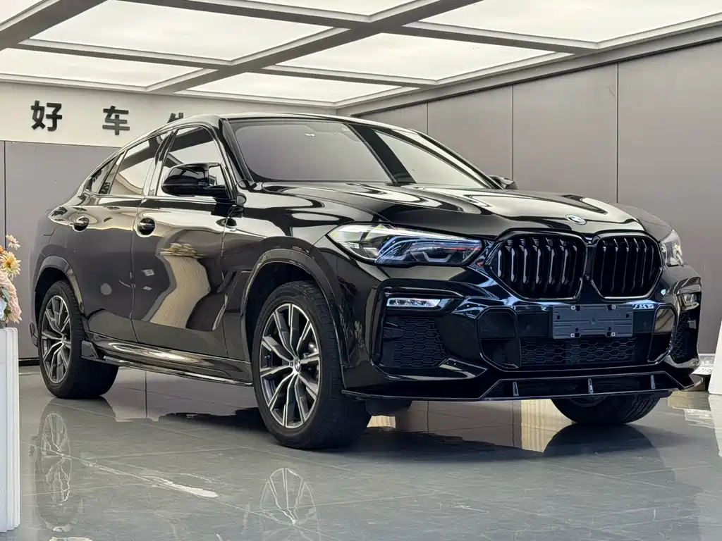 BMW X6 — миниатюра 3