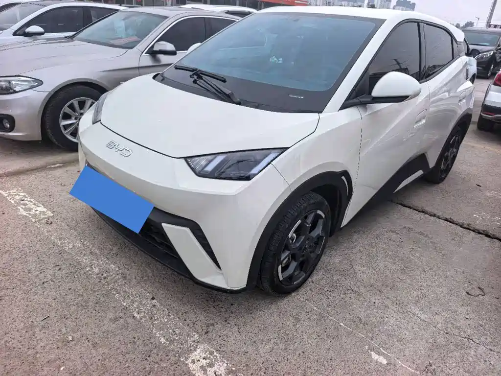 BYD Seagull