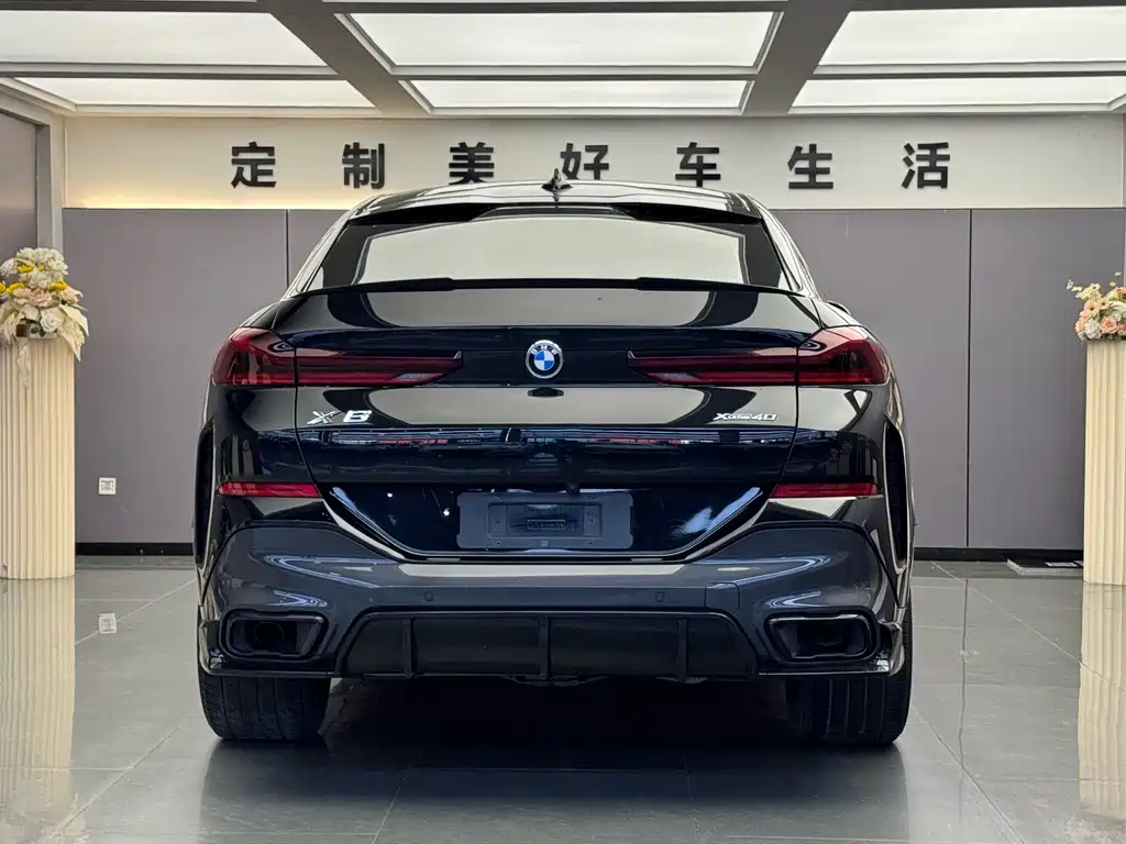 BMW X6 — миниатюра 8
