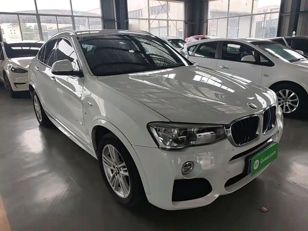 BMW X4 — миниатюра 4