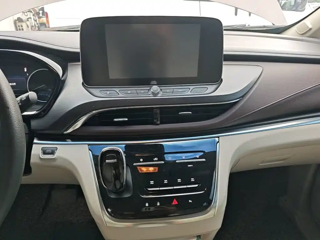 Buick GL8 — миниатюра 13