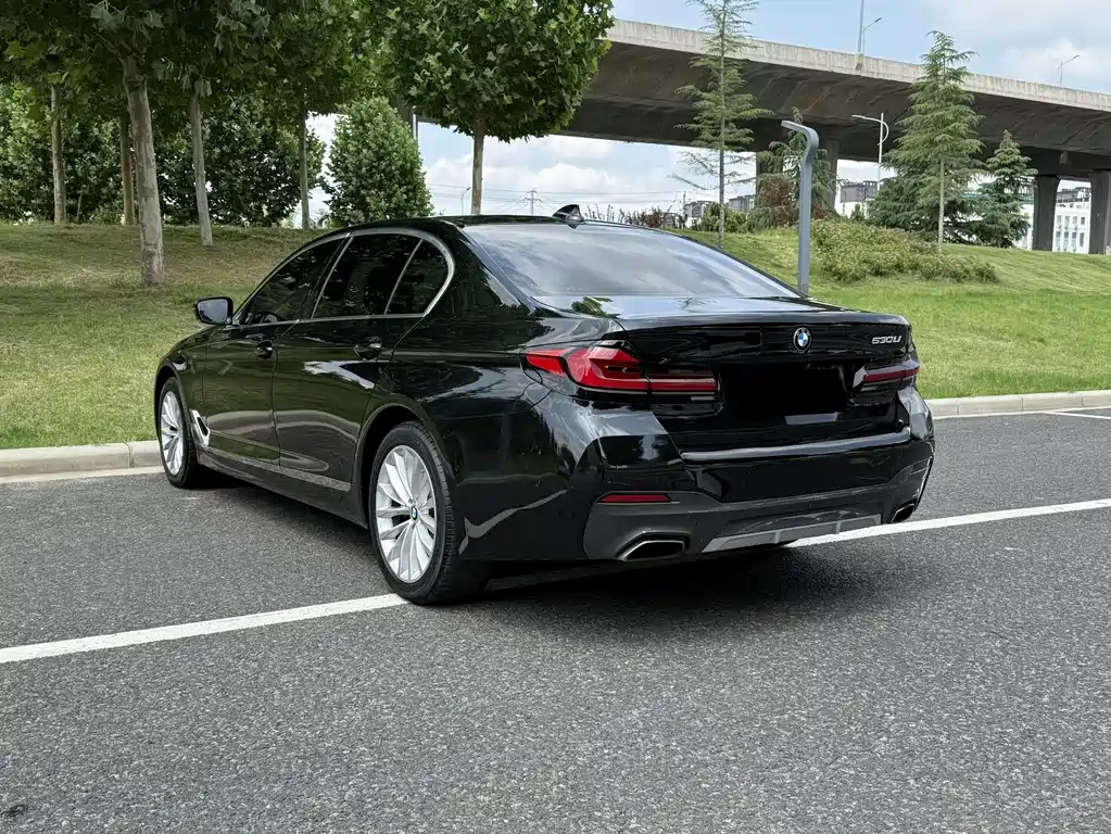 BMW 5 Series — миниатюра 4