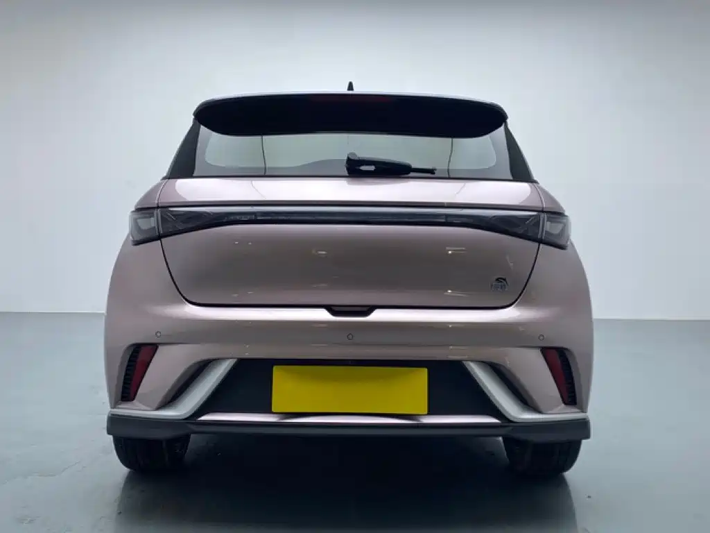 BYD Dolphin — миниатюра 5