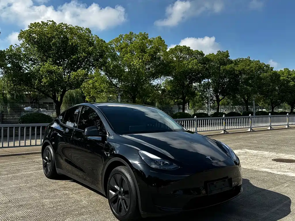 Tesla Model Y — миниатюра 2