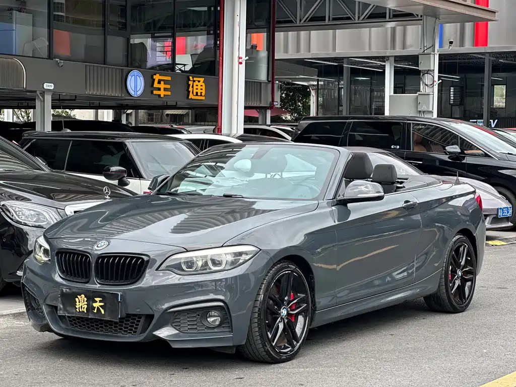 BMW 2 Series (Import)