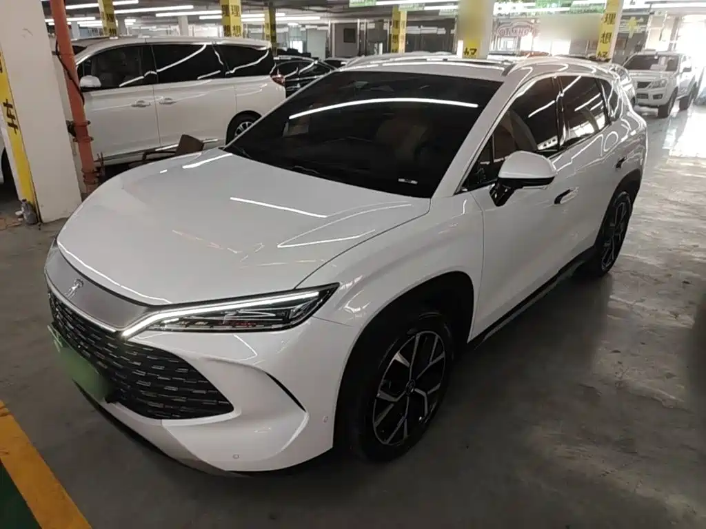 BYD L DM-i 2024