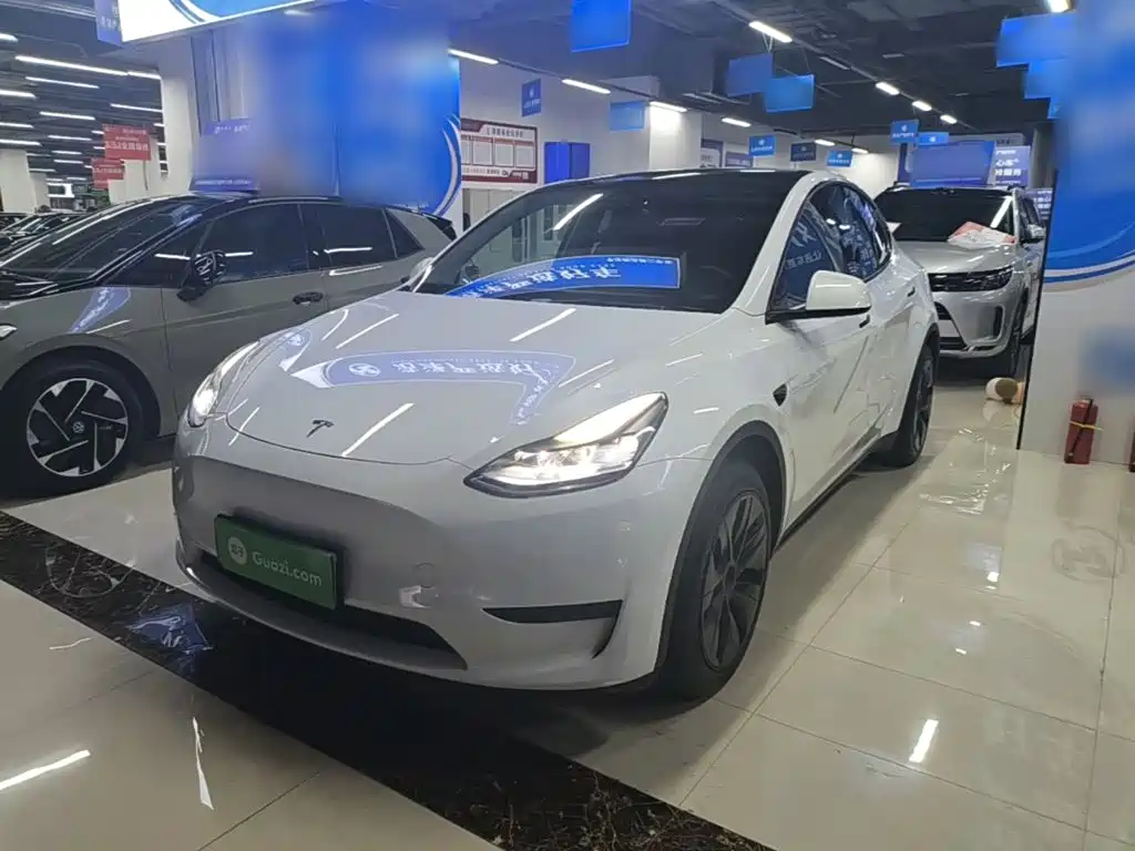 Tesla Model Y — миниатюра 2