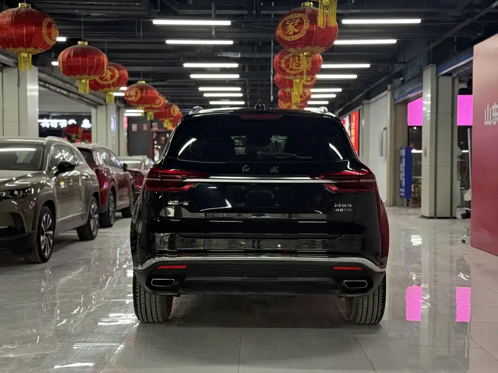 Hongqi HS5 2019 2.0T
