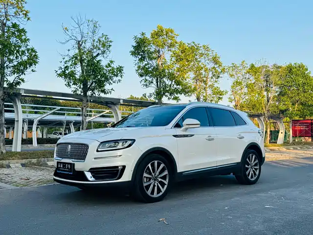 LINCOLN NAVIGATOR (IMPORT)