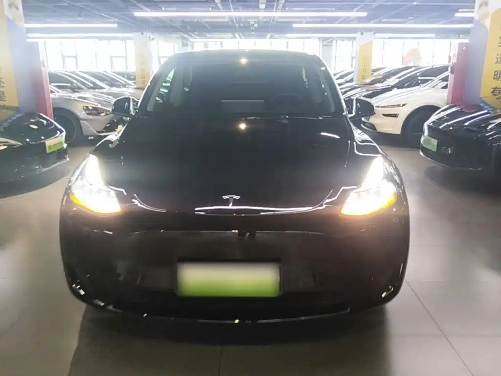 Tesla Model Y — миниатюра 3