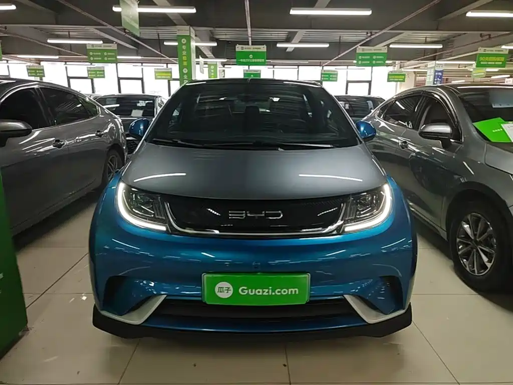 BYD Dolphin — миниатюра 3