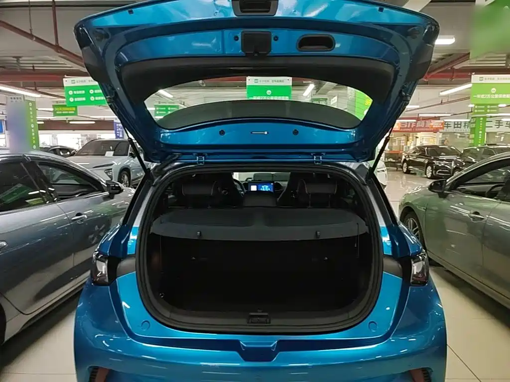 BYD Dolphin — миниатюра 19