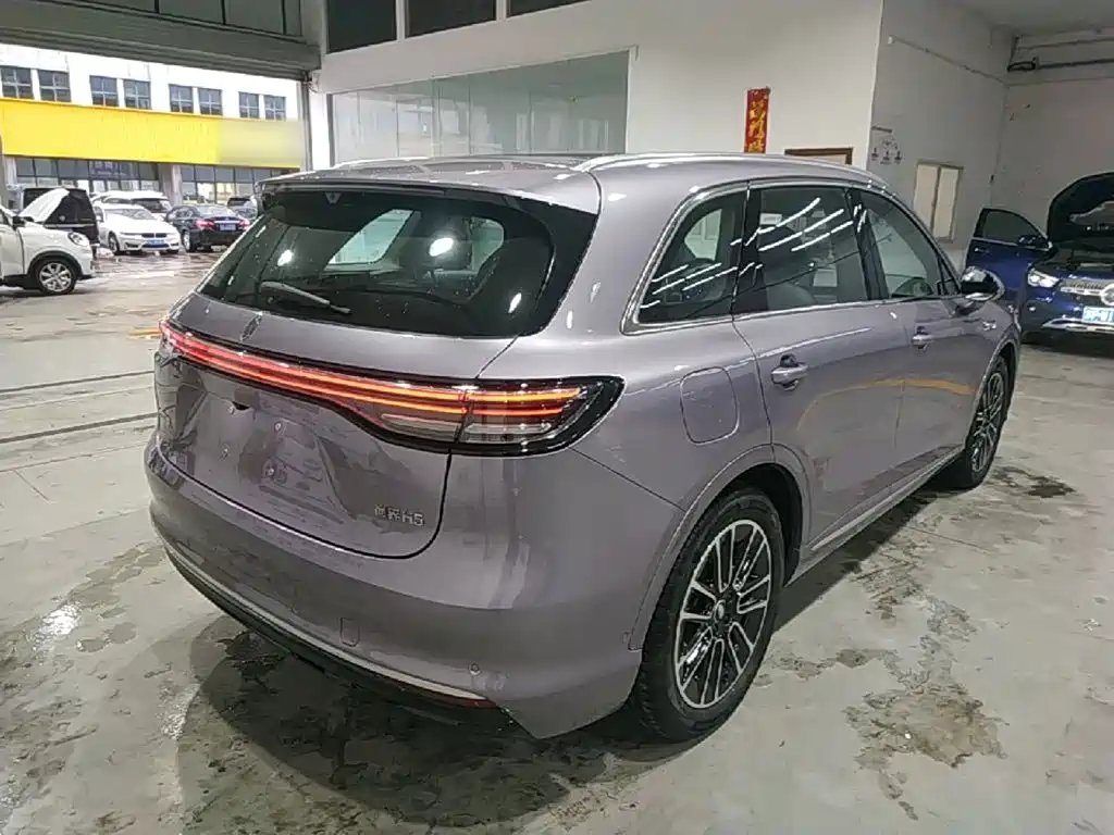 Shangjie Shangjie H5 — миниатюра 7