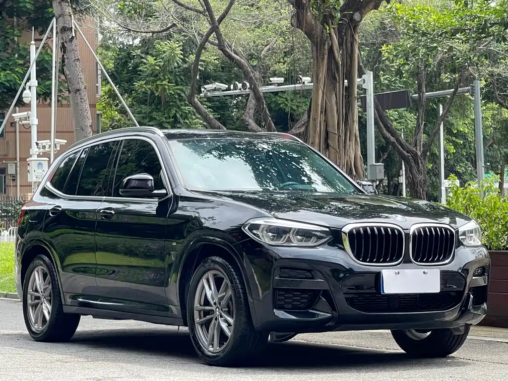BMW X3 — миниатюра 3