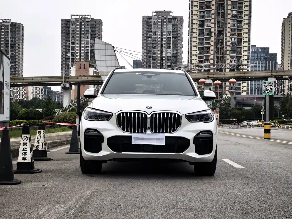 BMW X5 (Import) — миниатюра 4