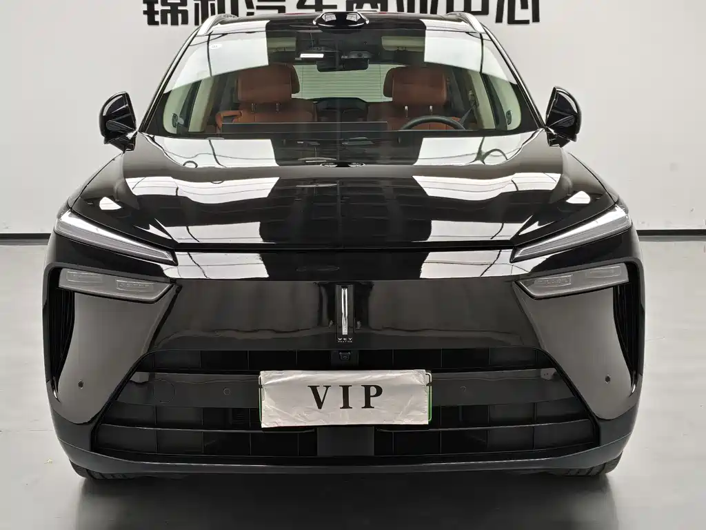 WEI PAI WEI BRAND BLUE MOUNTAIN