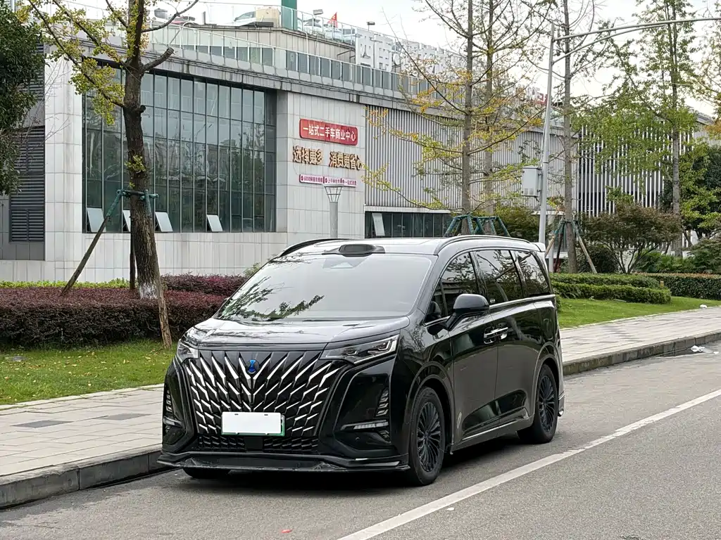 Denza Denza D9