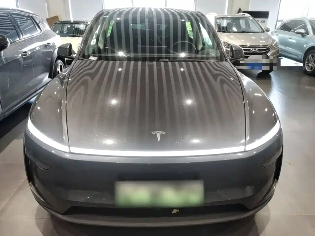Tesla Model Y — миниатюра 3