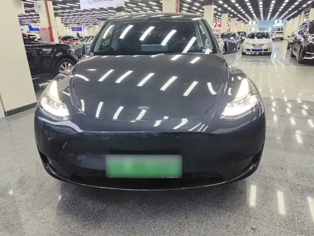 Tesla Model Y — миниатюра 3