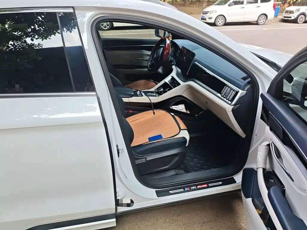 BYD PLUS New Energy — миниатюра 17