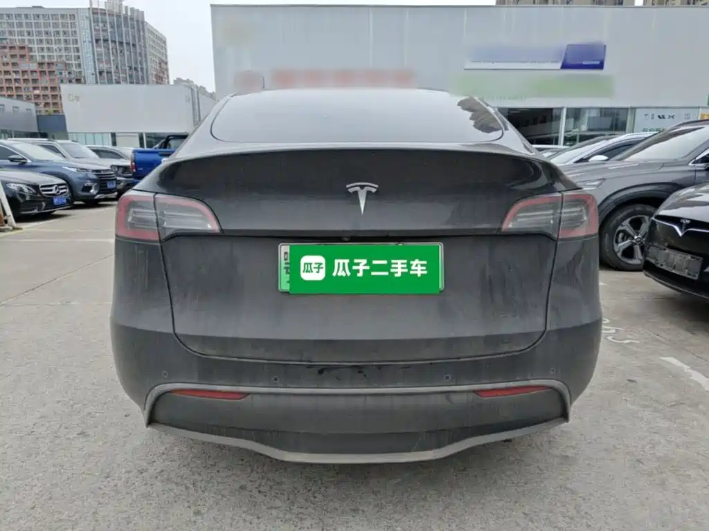 Tesla Model Y — миниатюра 6