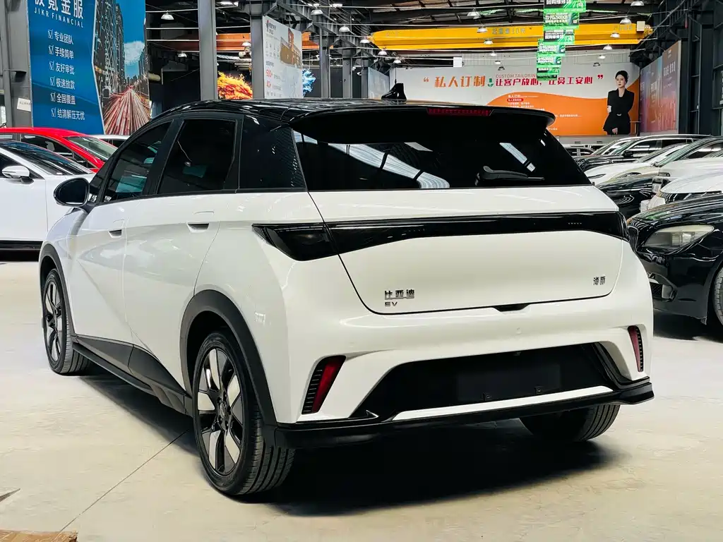 BYD Dolphin — миниатюра 8