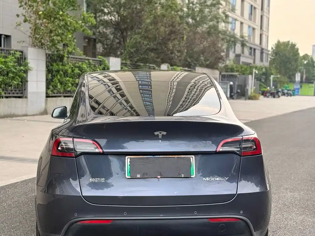 Tesla Model Y — миниатюра 8