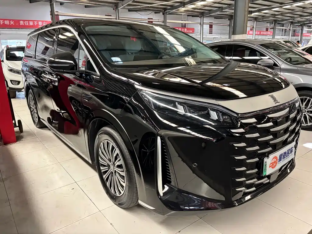 BYD Xia — миниатюра 3