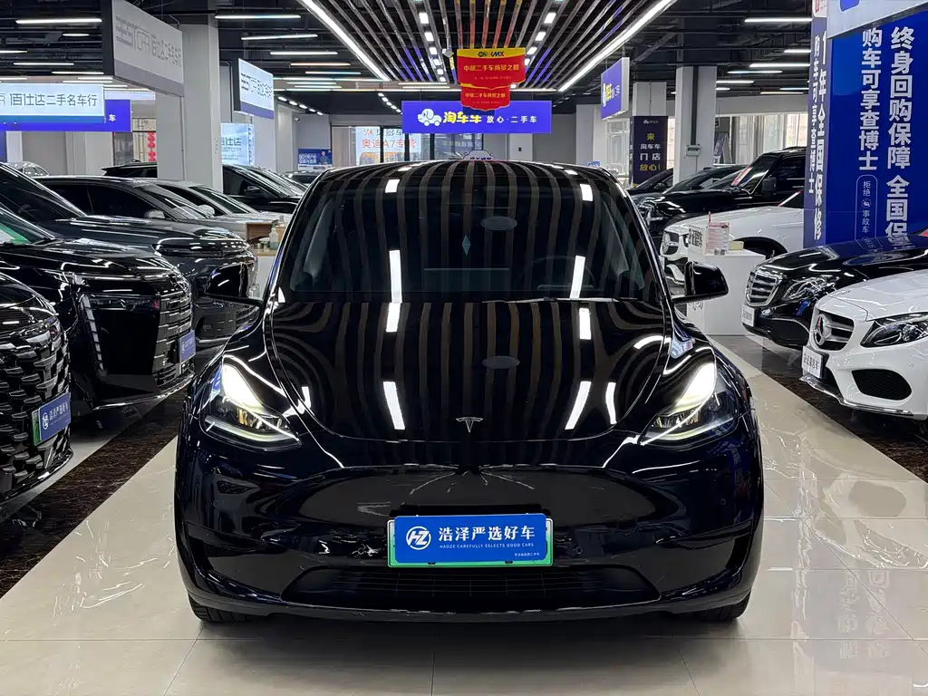 Tesla Model Y — миниатюра 2