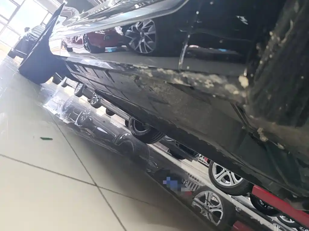 GAC Motor Trumpchi Xiangwang S9 — миниатюра 21