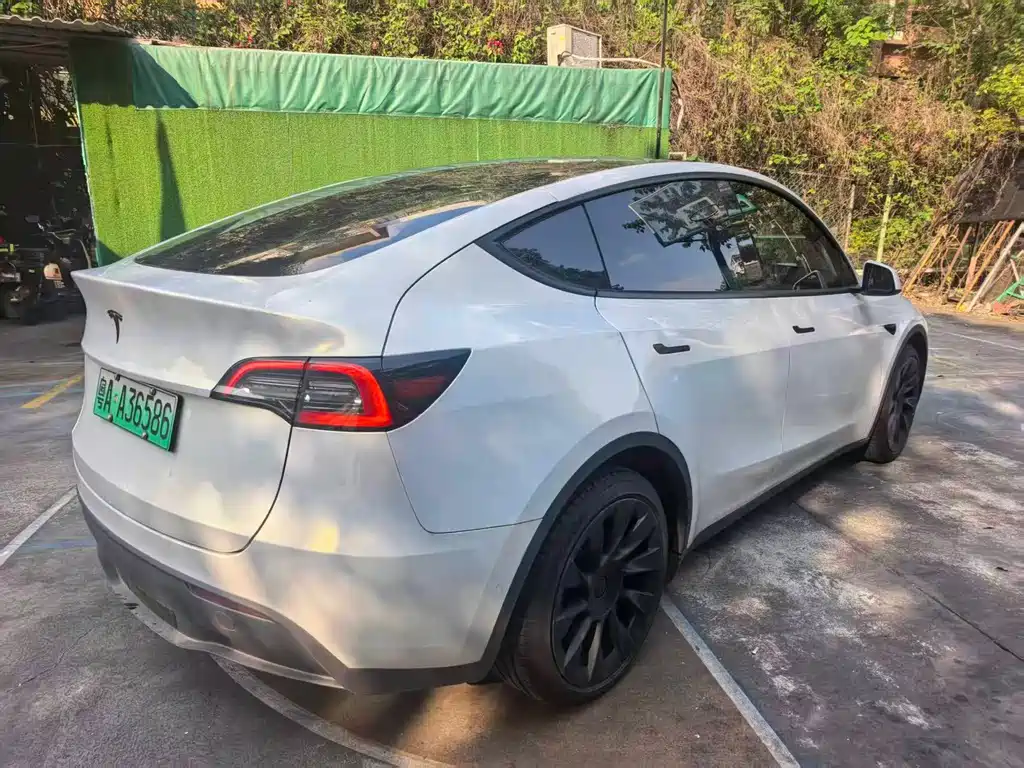 Tesla Model Y — миниатюра 4