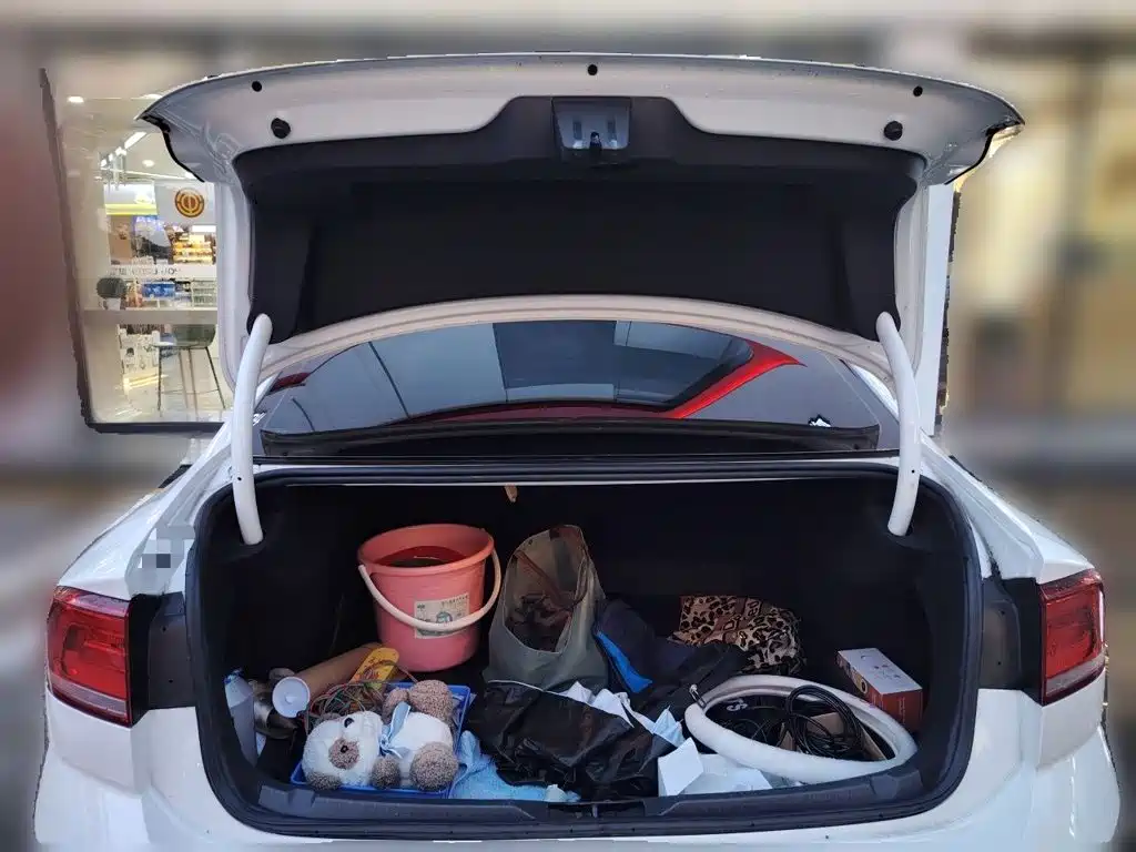 Volkswagen Lamando — миниатюра 10