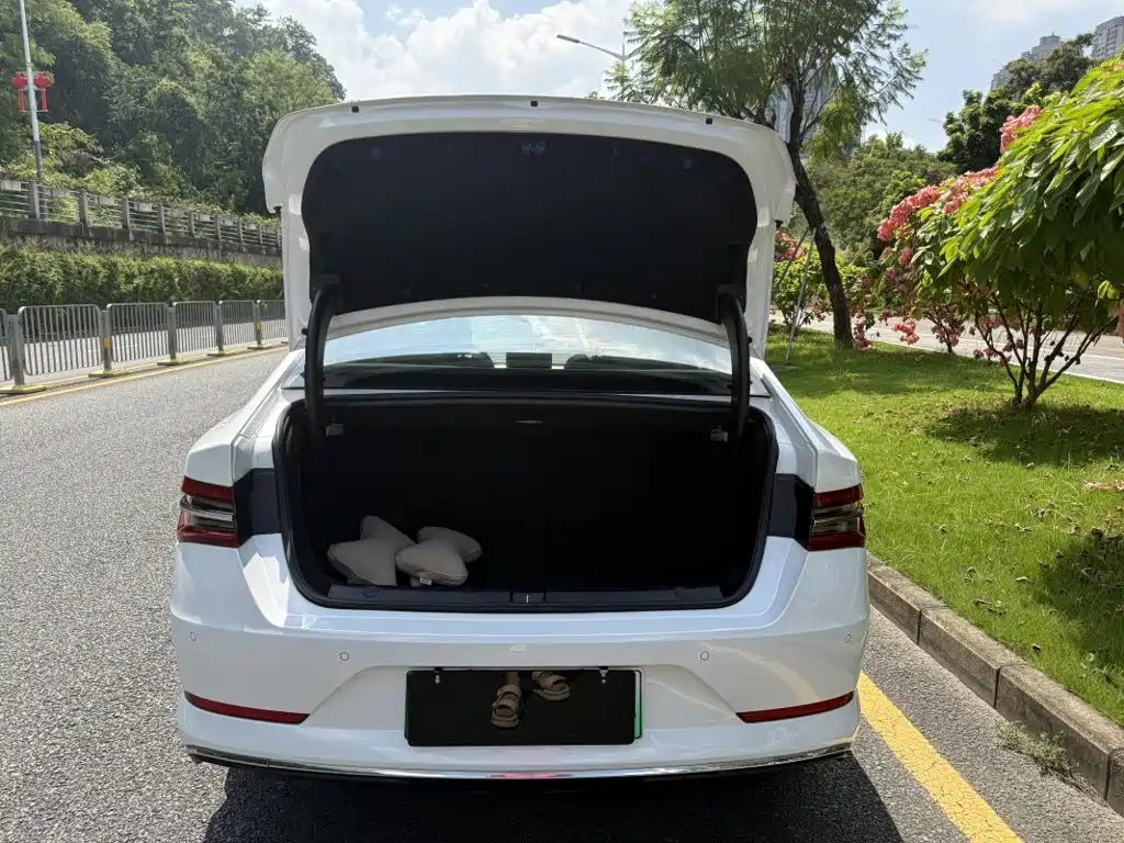 BYD Qin Pro NEV — миниатюра 8