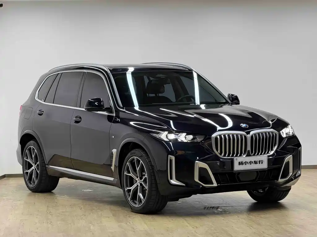 BMW X5 — миниатюра 3