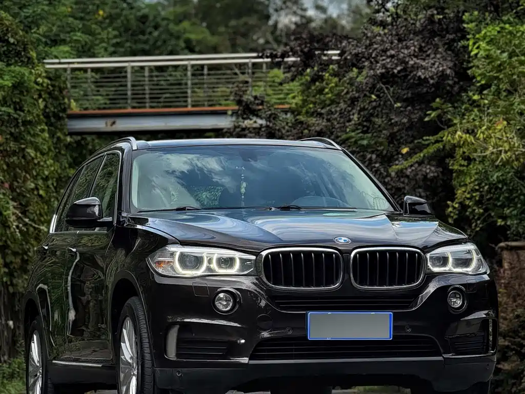 BMW X5 (Import) — миниатюра 3