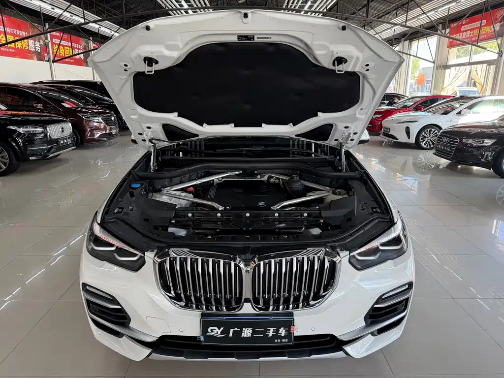 BMW X5 (Import) — миниатюра 23