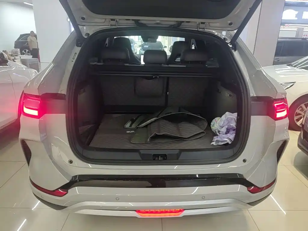 BYD PLUS New Energy — миниатюра 19