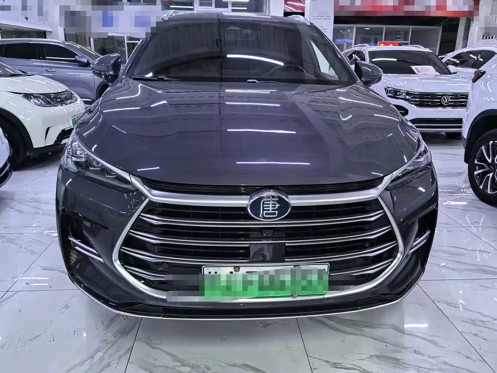 BYD Tang New Energy — миниатюра 2