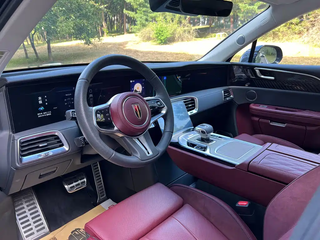 Hongqi Hongqi E-HS9 — миниатюра 10