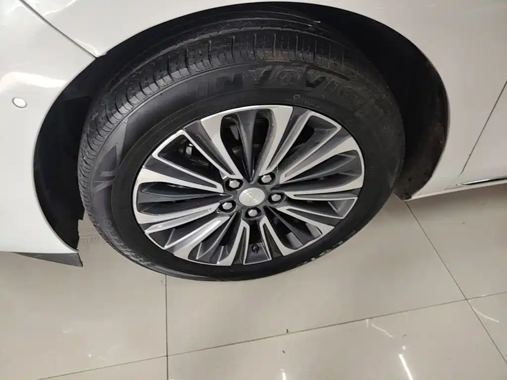 Buick GL8 — миниатюра 23