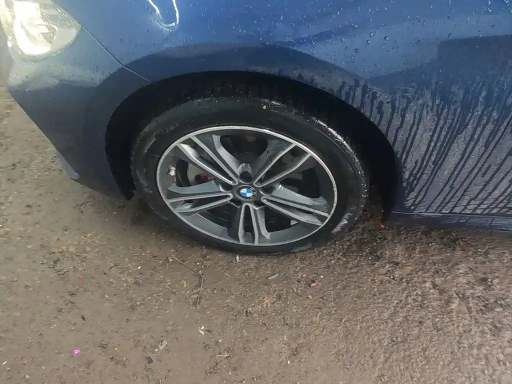 BMW 1 Series — миниатюра 23