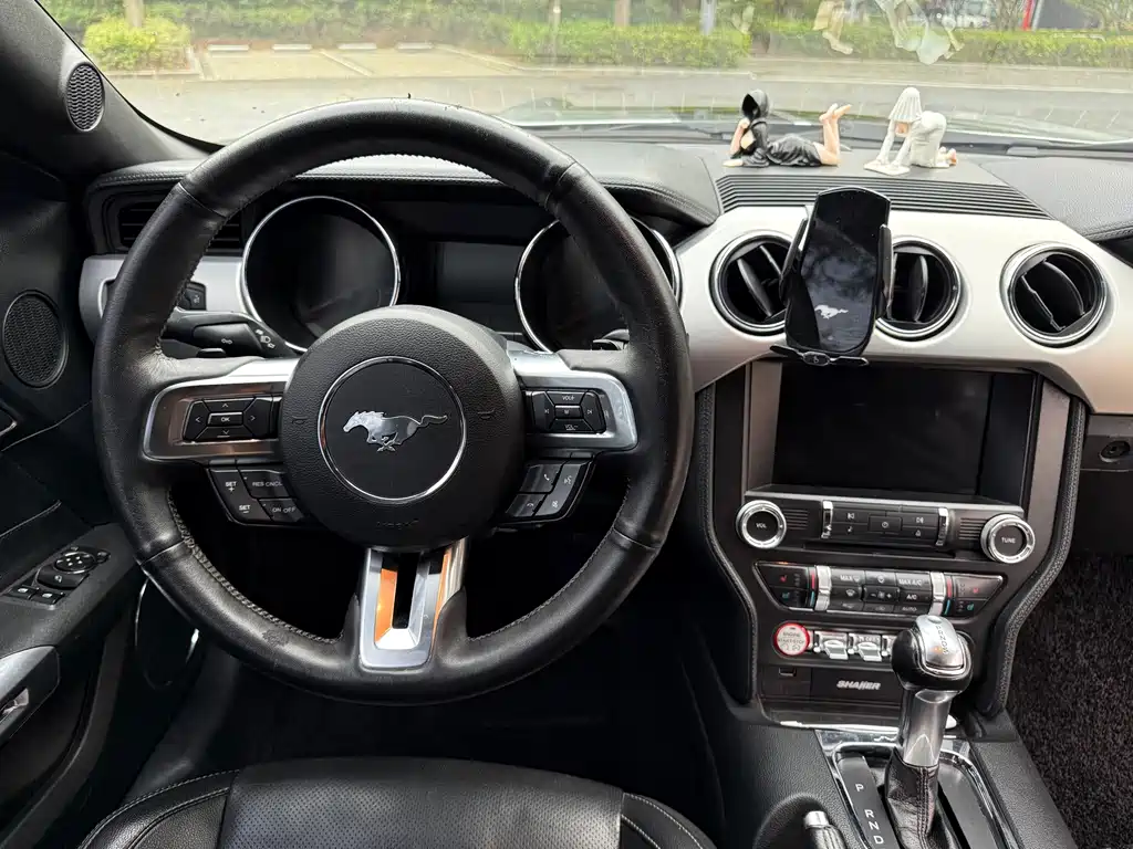 Ford Mustang — миниатюра 15