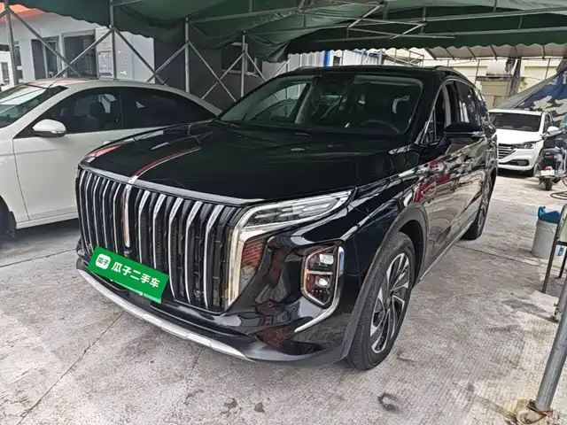 2024 Hongqi HS7