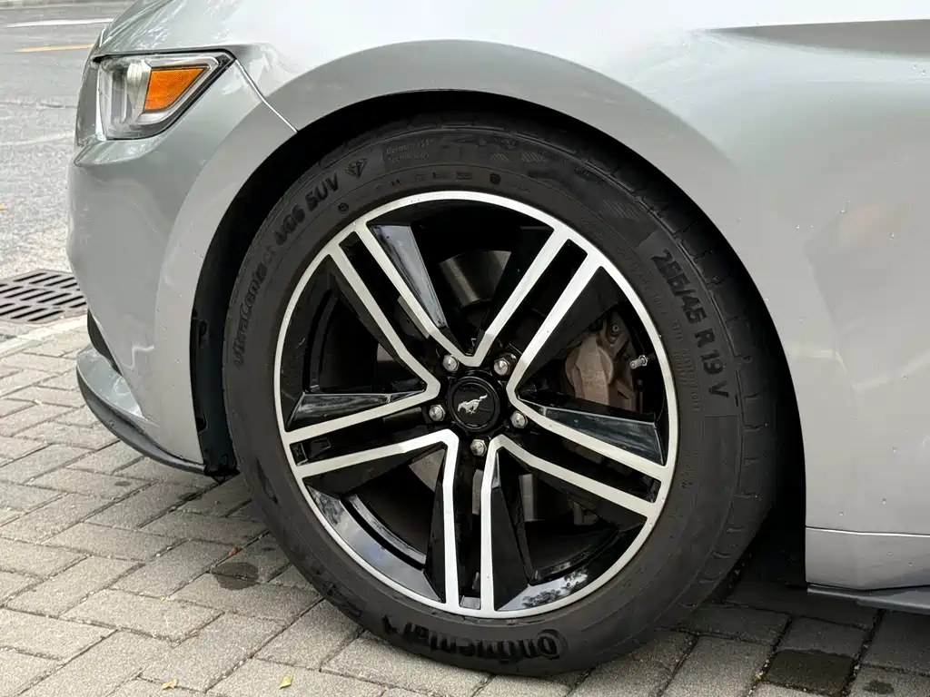 Ford Mustang — миниатюра 8